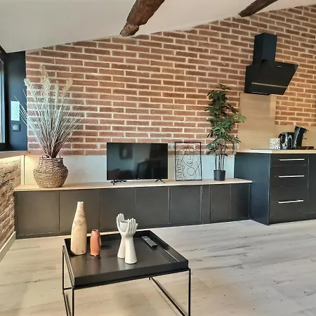 L'observatoire - Parking - Clim - Vue 아파트 알비