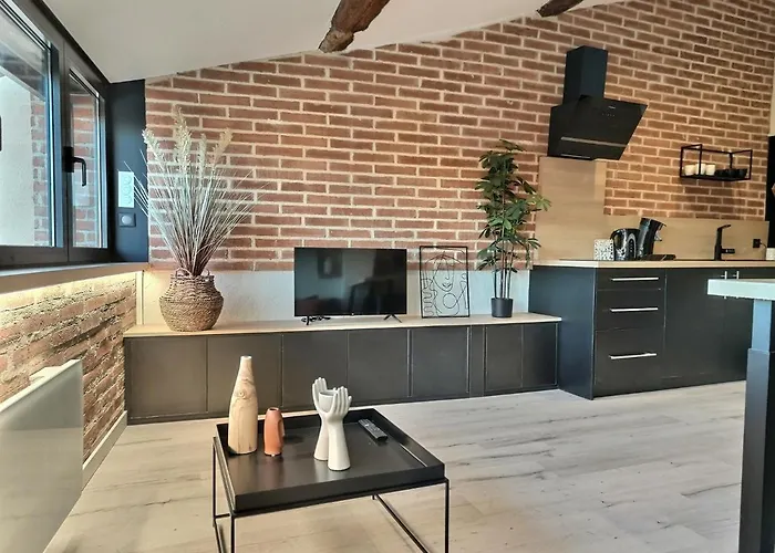 L'observatoire - Parking - Clim - Vue 아파트 알비