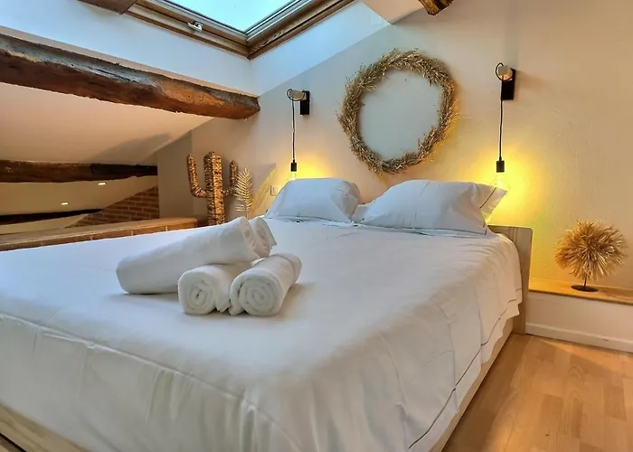 L'observatoire - Parking - Clim - Vue * 阿尔比